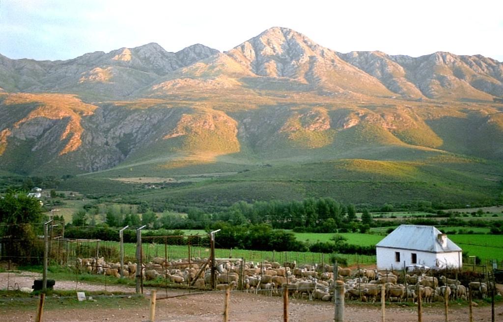 Matjiesrivier  Swartberg Country Manorゲストハウス エクステリア 写真