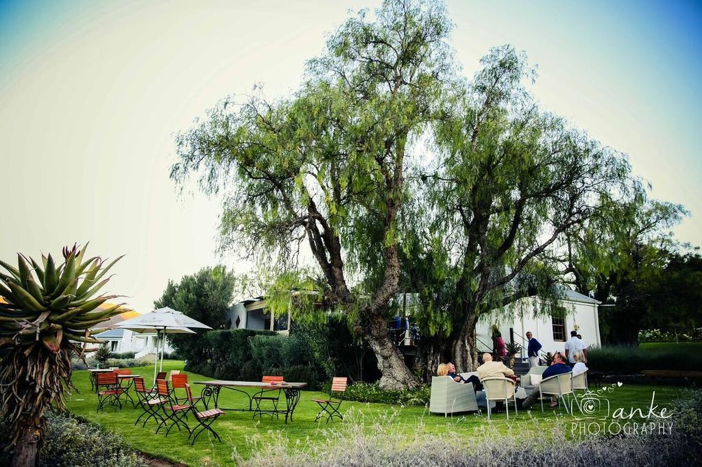 Matjiesrivier  Swartberg Country Manorゲストハウス エクステリア 写真
